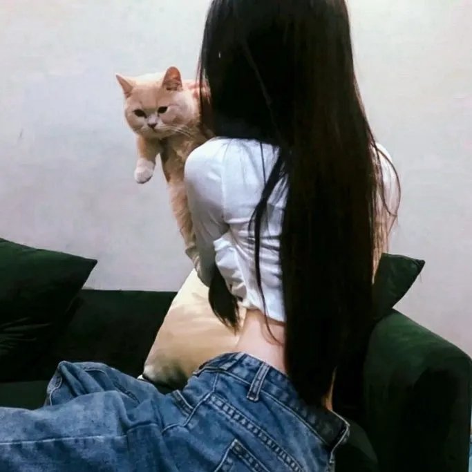 新男孩