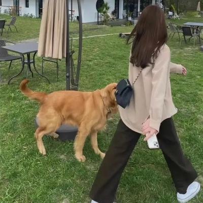 尘行者