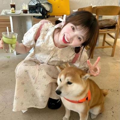 新自杀小队